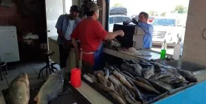 PESCA